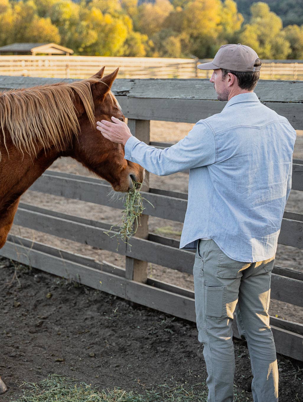 Man feeding a horse hay wearing  a blue denim shirt and green pants