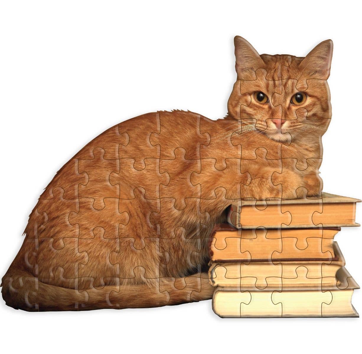 completed cat jigsaw puzzle
