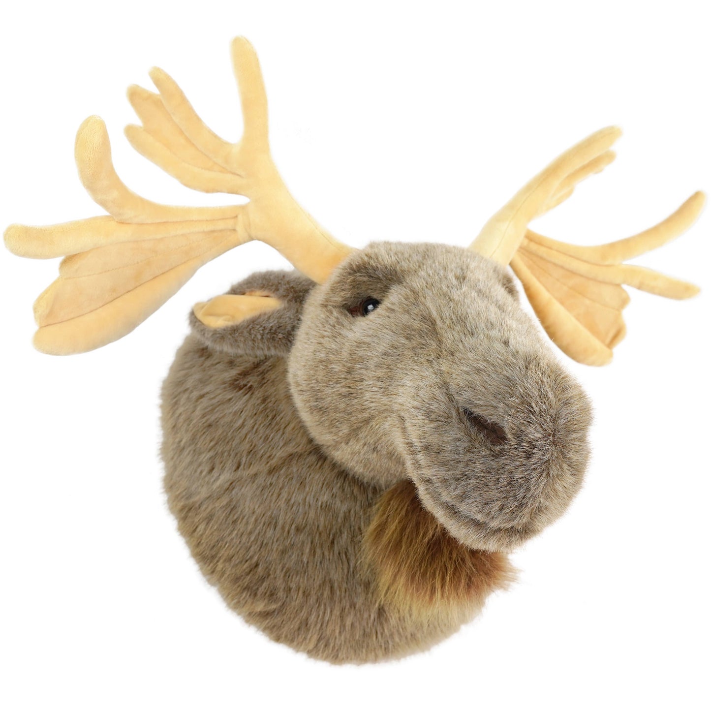 Muscovy The Moose