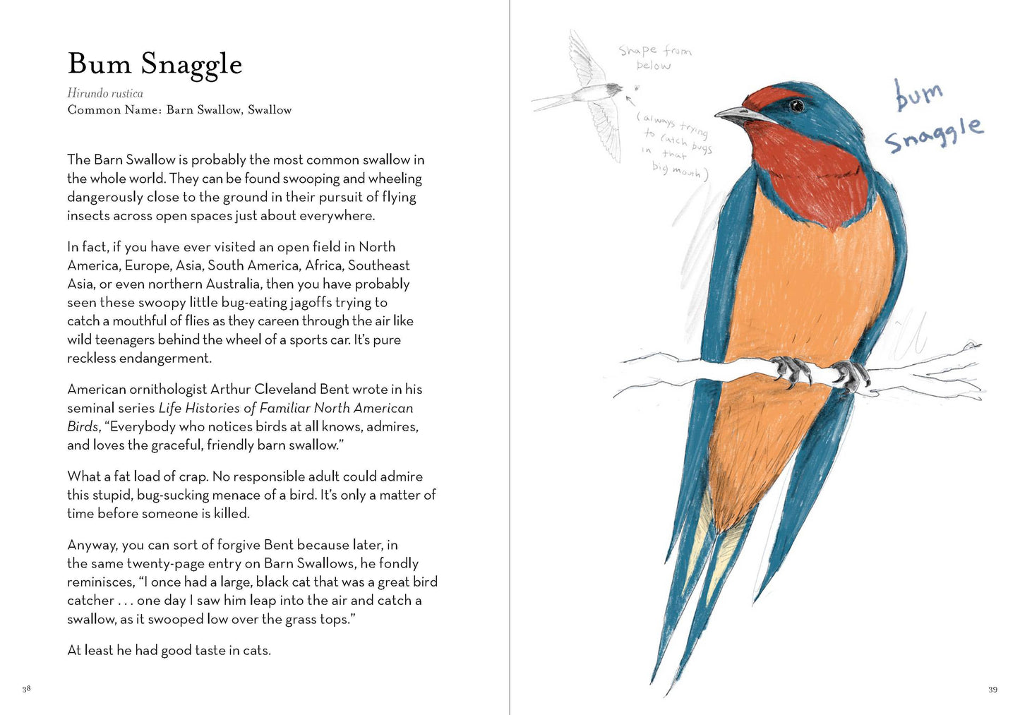 Dumb Birds Field Guide to the Worst Birds Ever Book