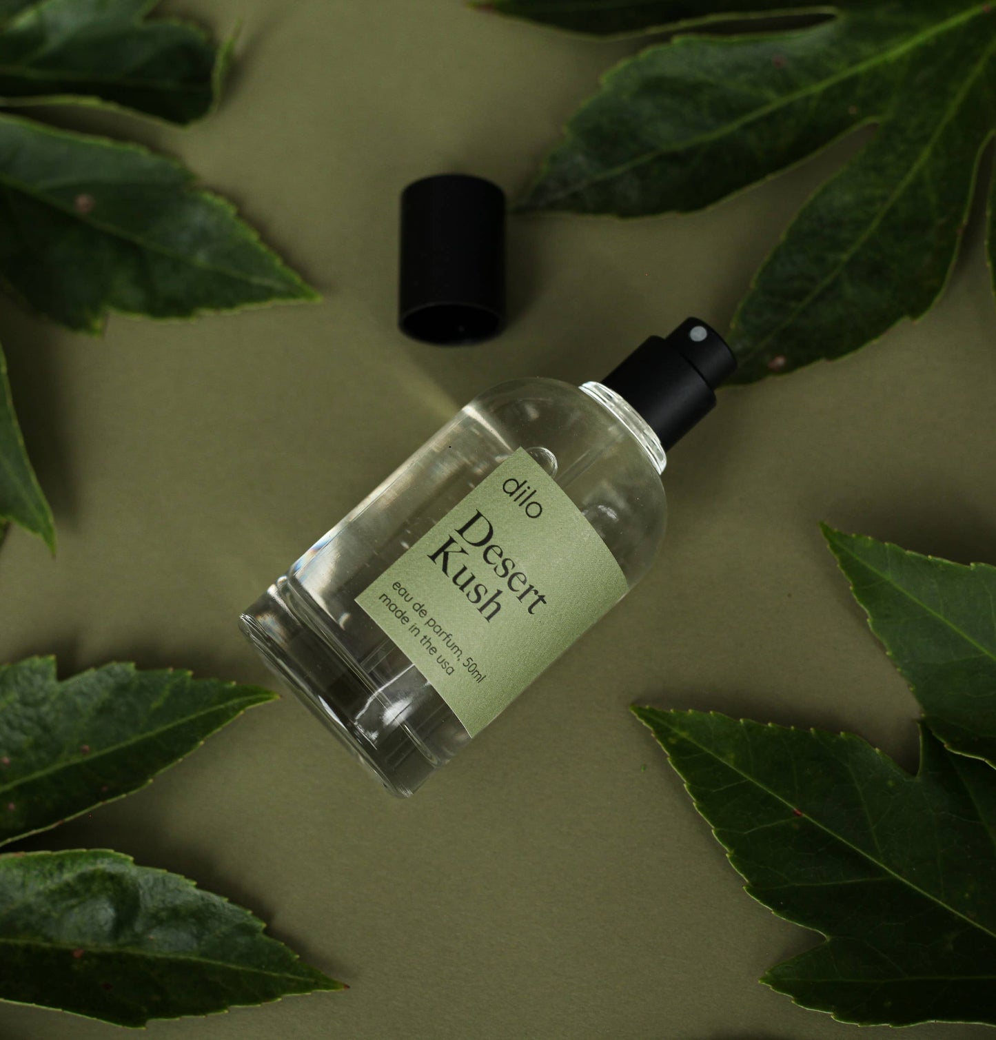 Skincare bottle with green leaves on a beige background