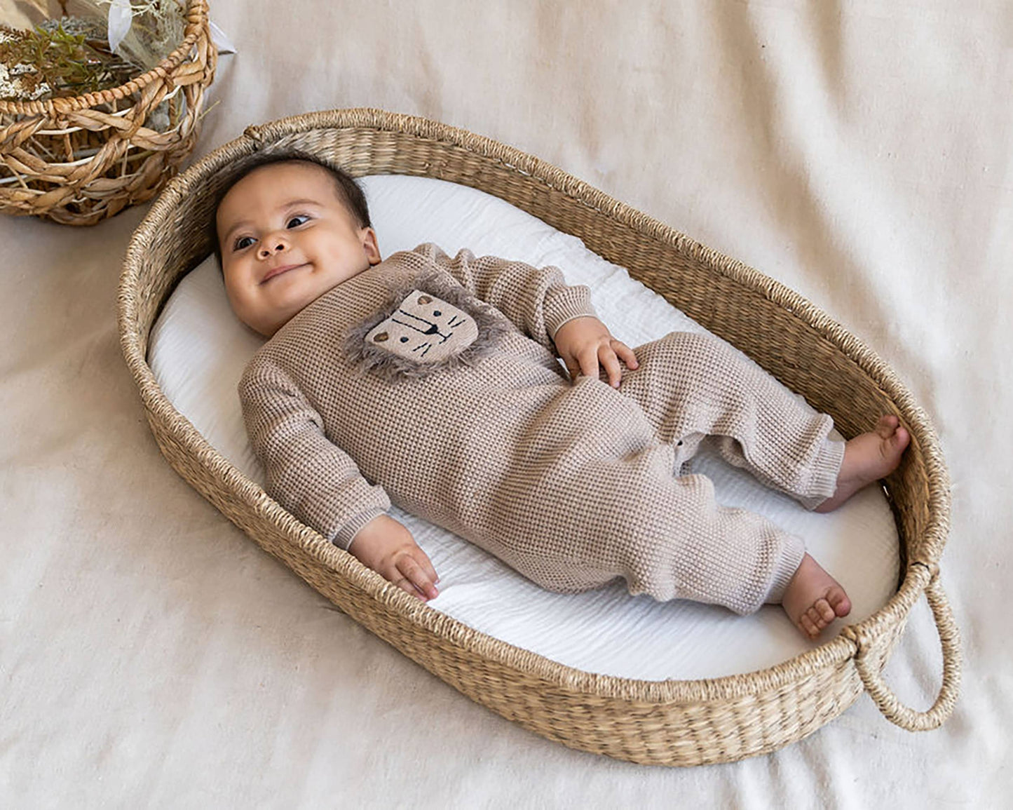 baby in basket wearing light brown baby sweater with lion 3D embroidery and a front pocket