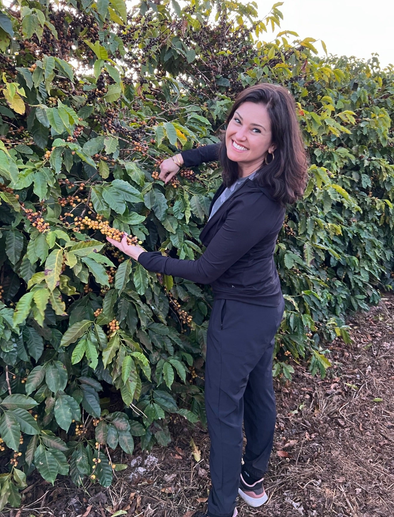 Lobao Coffee • Ground