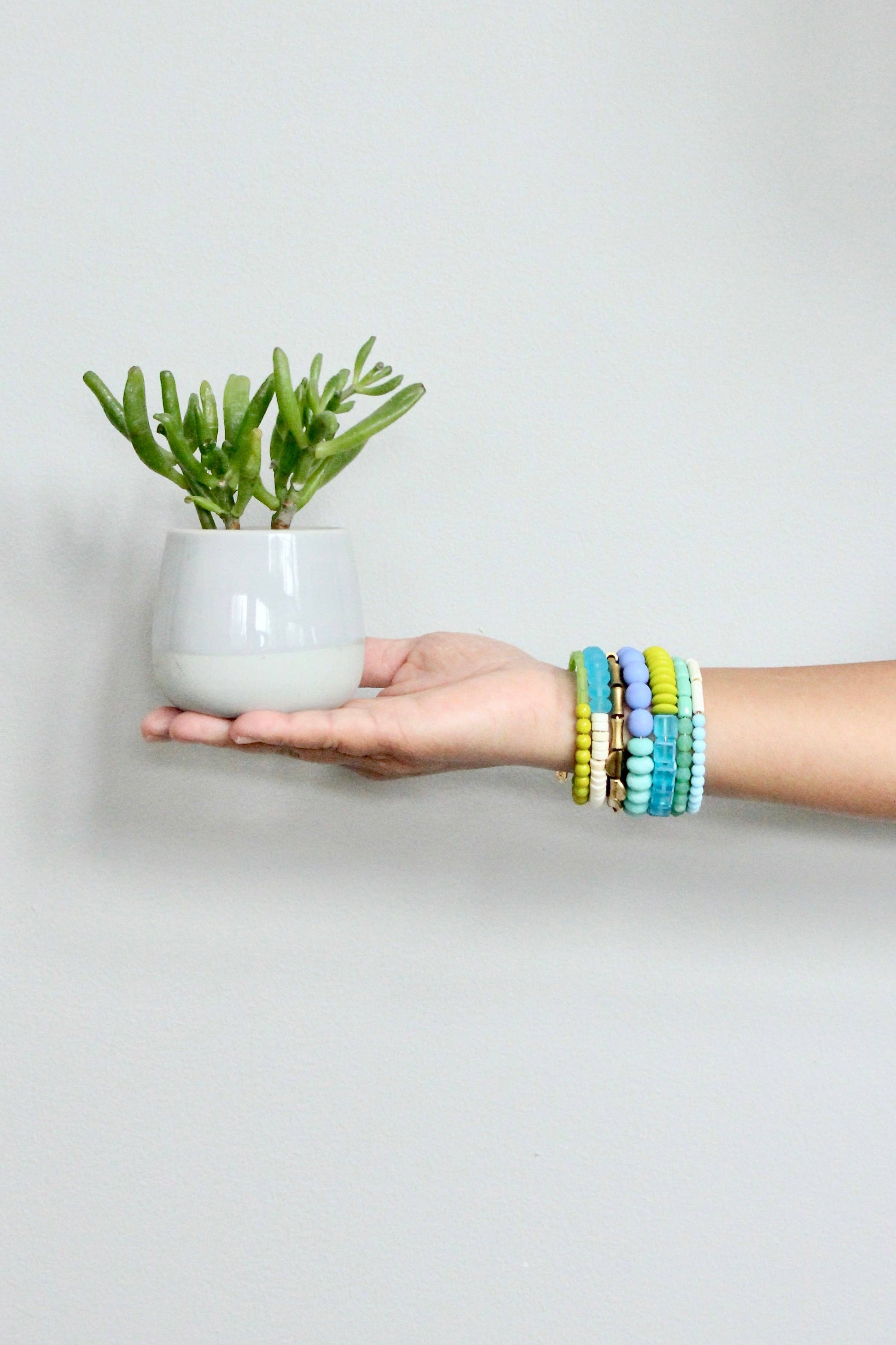 Hand holding a small potted plant with colorful bracelets on a plain background