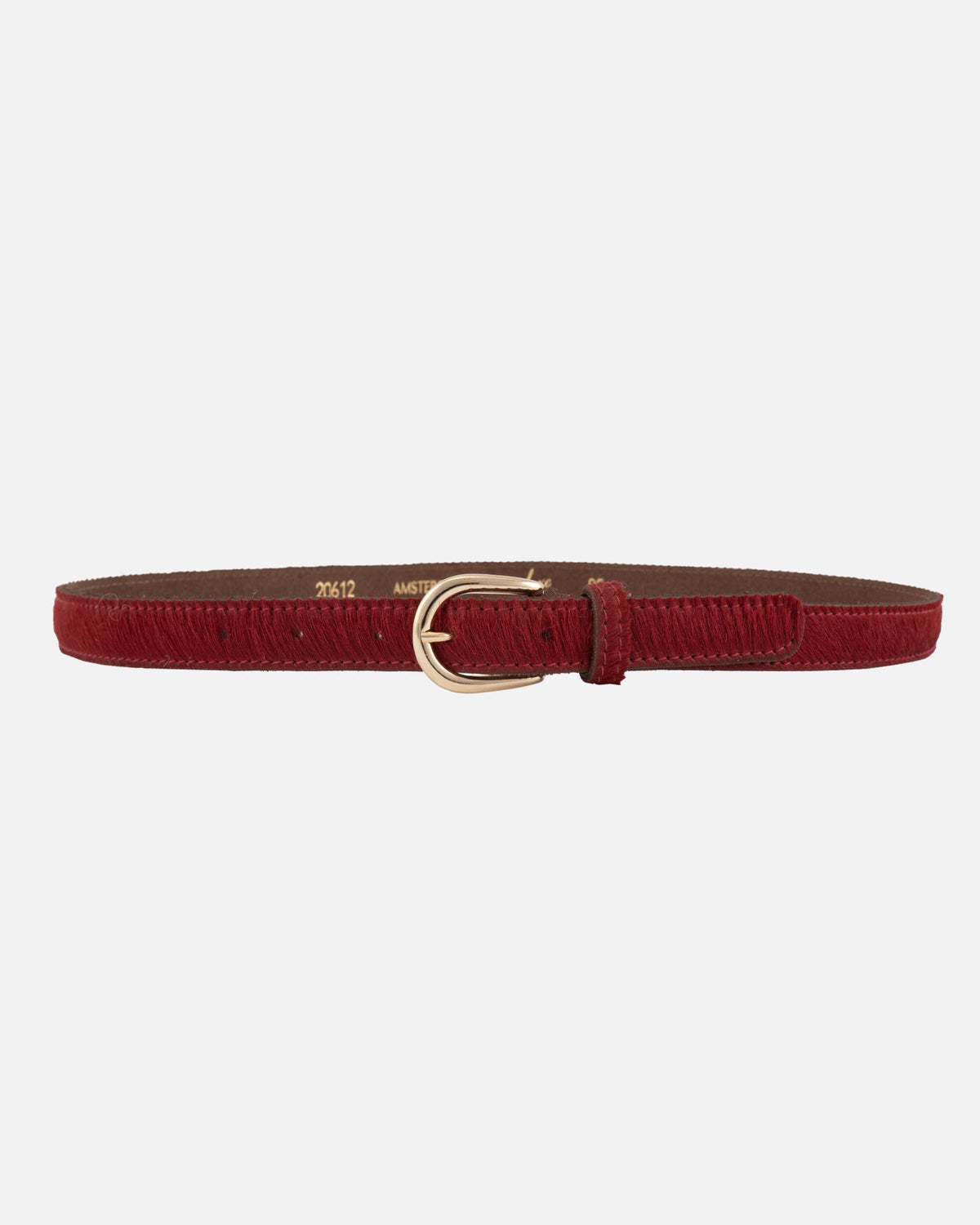 Red belt with a gold buckle on a white background