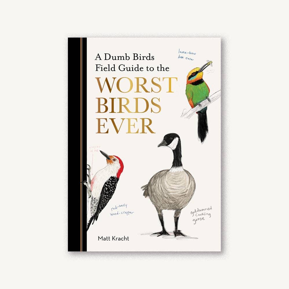 A book cover for 'Dumb Birds Field Guide to the Worst Birds Ever' by Matt Kracht, featuring illustrations of various birds including a woodpecker, a seagull, and a duck.
