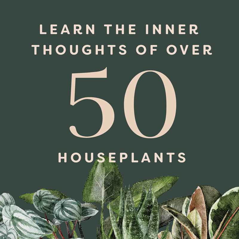 Houseplants and Their Fucked-Up Thoughts by Carlyle Christoff - Hardcover Book