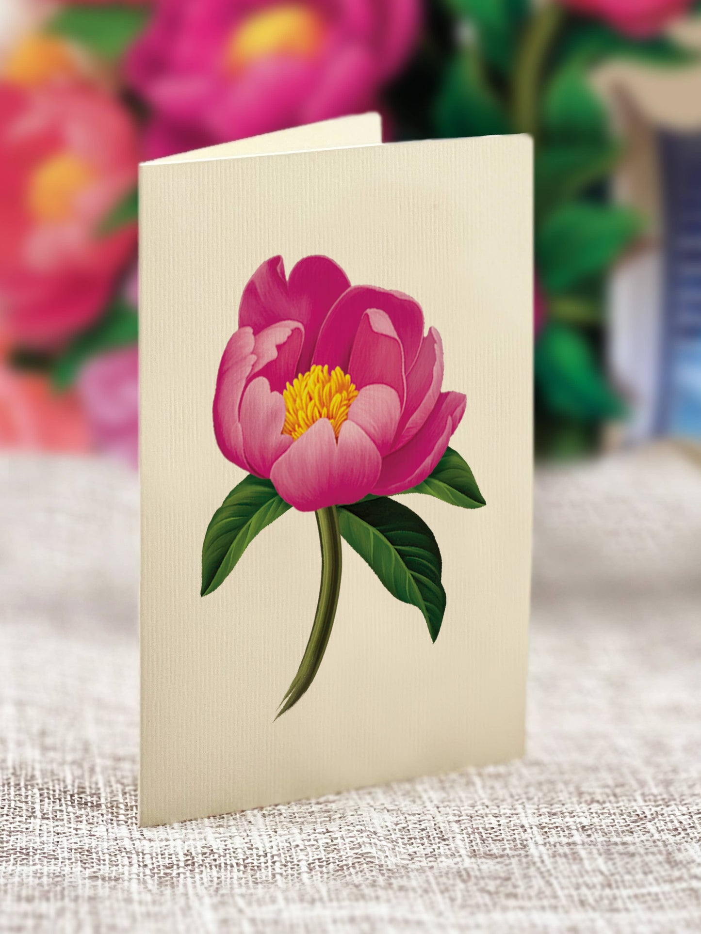 Greeting card with a pink flower illustration on a textured surface