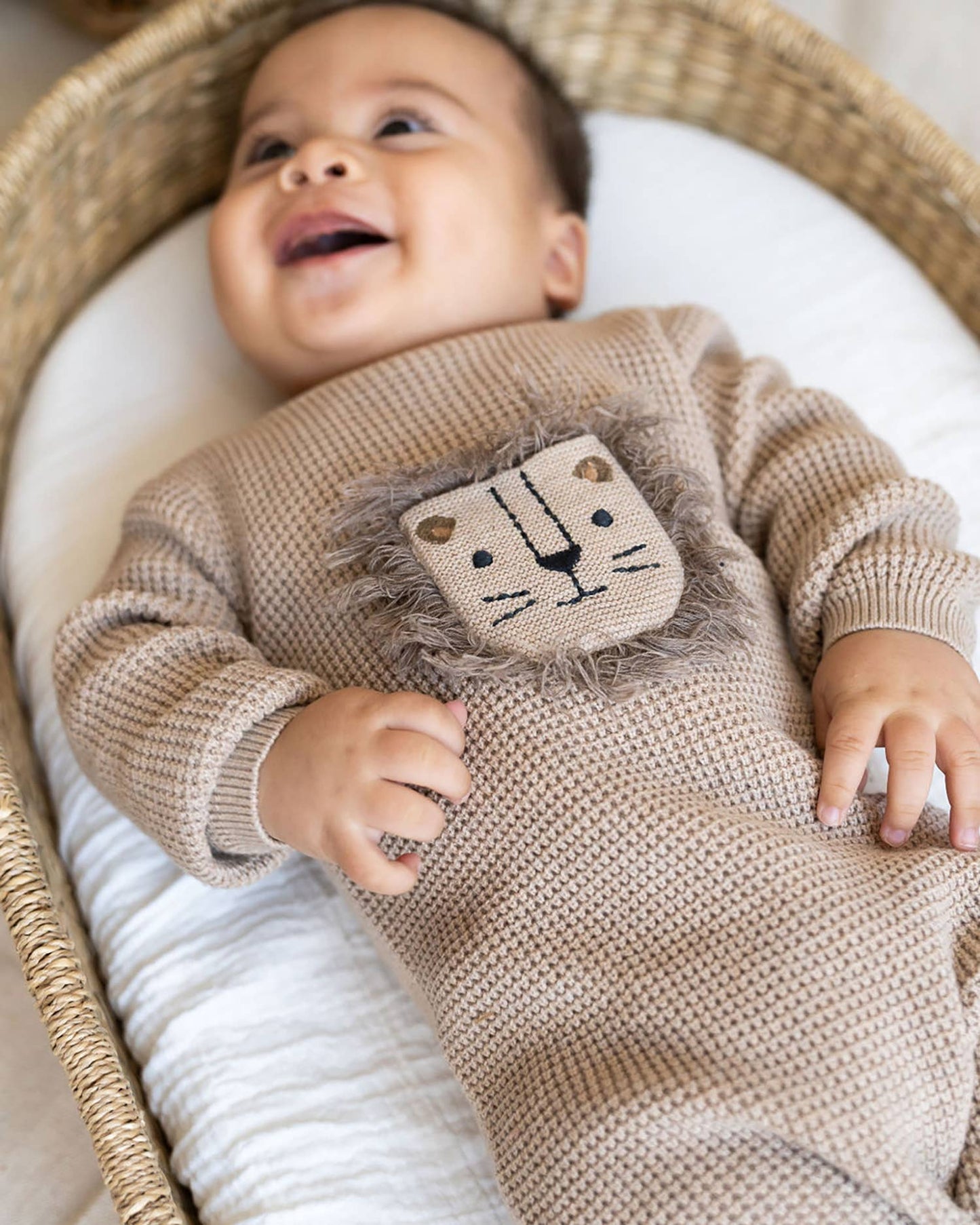 baby in basket wearing light brown baby sweater with lion 3D embroidery and a front pocket