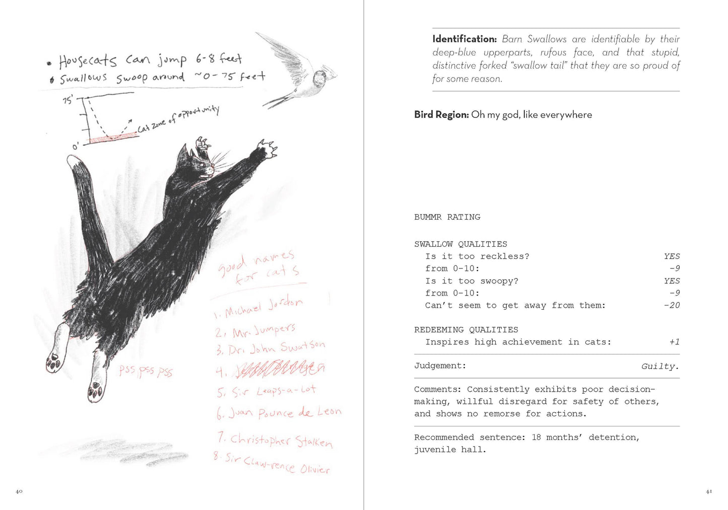 Dumb Birds Field Guide to the Worst Birds Ever Book