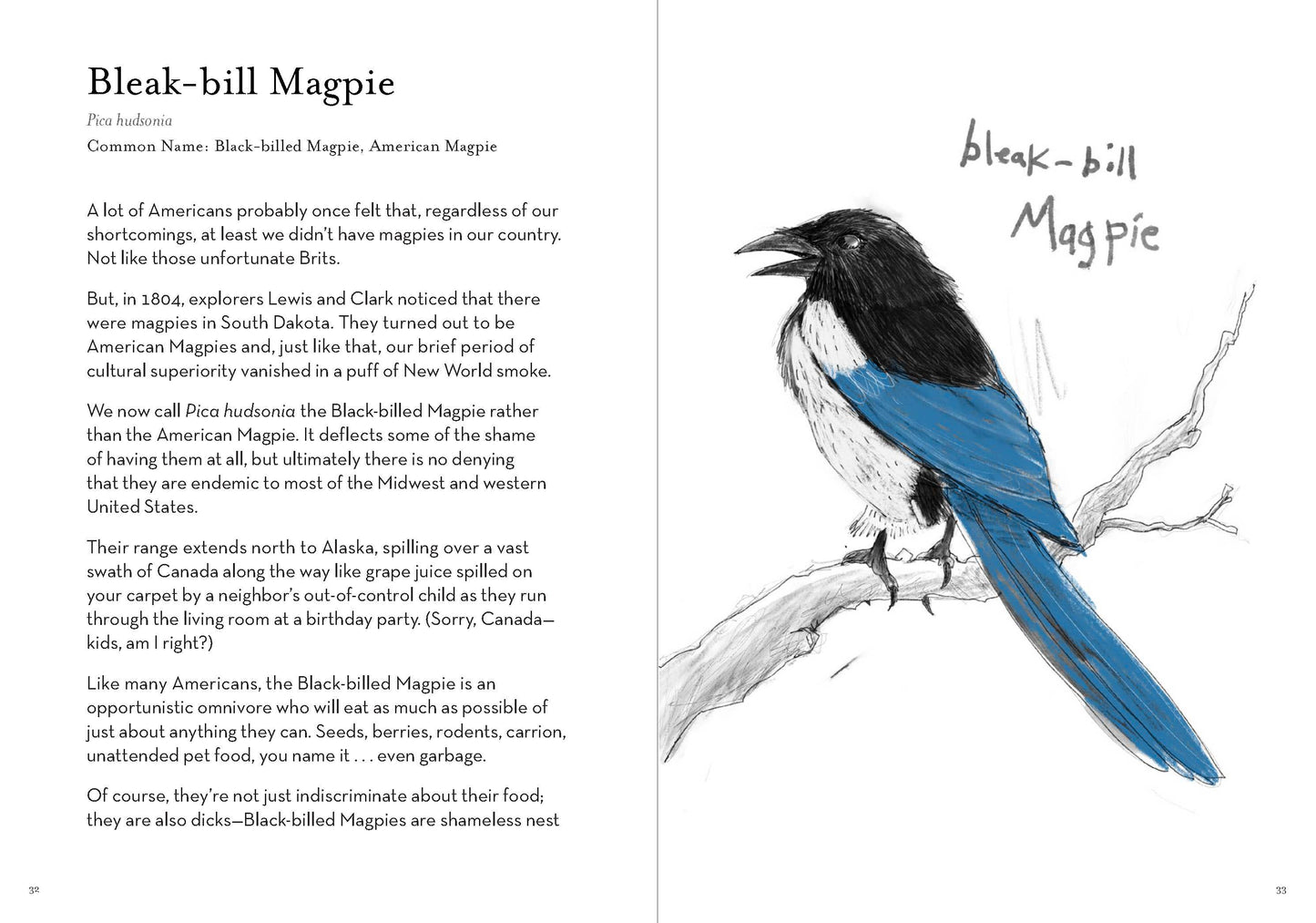 Dumb Birds Field Guide to the Worst Birds Ever Book