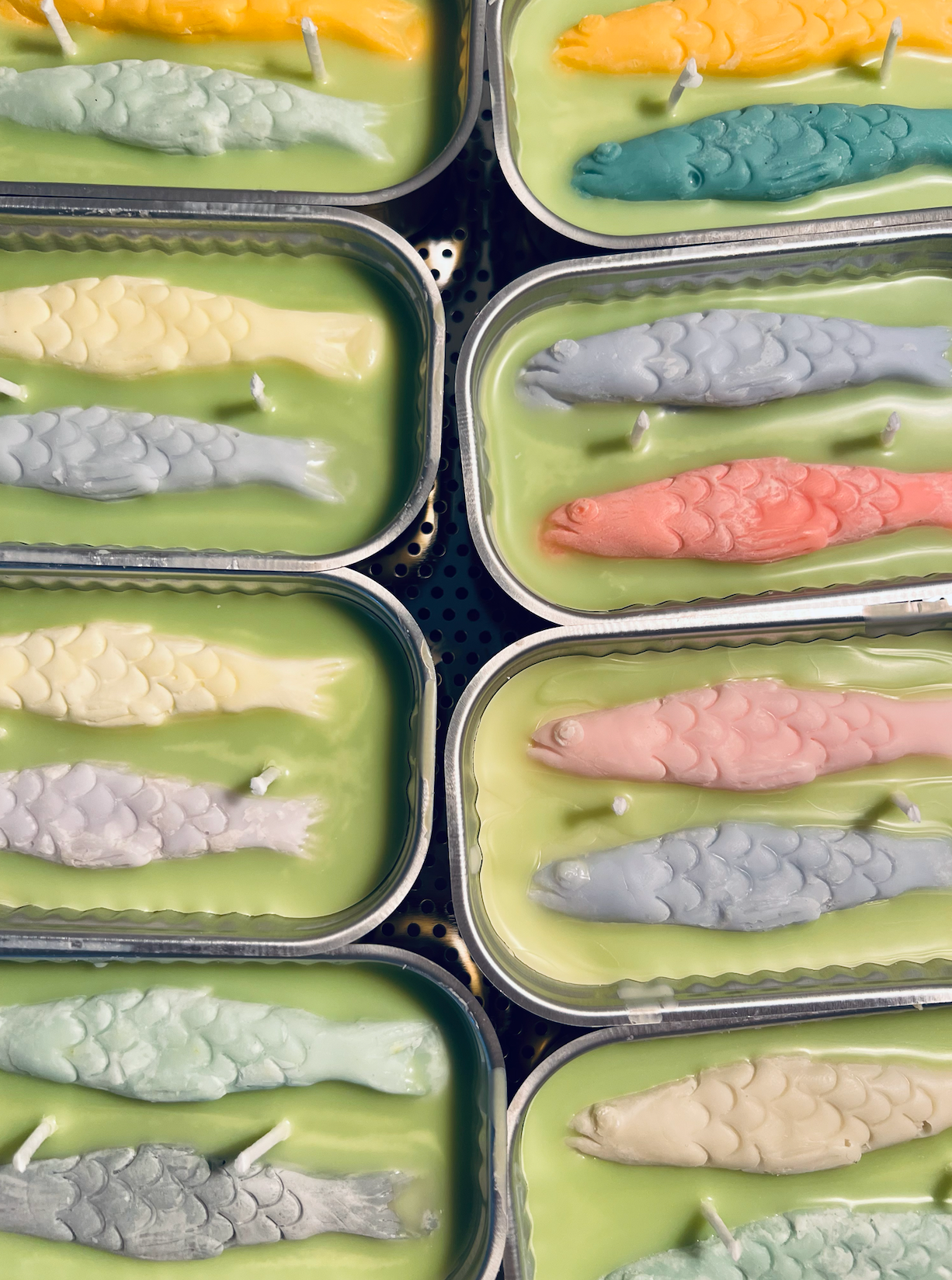 image shows the opened tinned fish candles. fish appear in various colors.