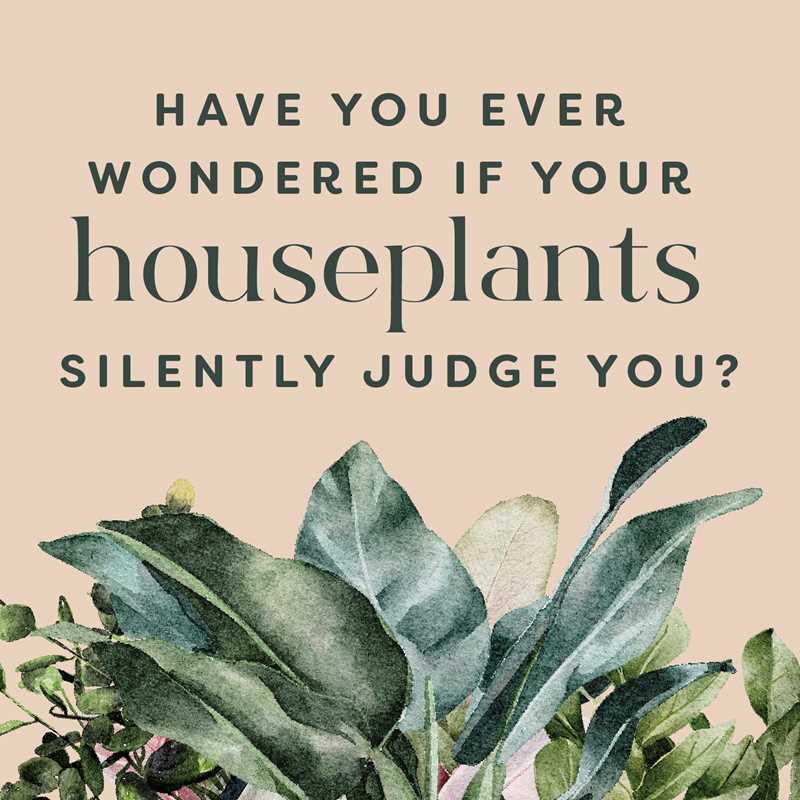 Houseplants and Their Fucked-Up Thoughts by Carlyle Christoff - Hardcover Book